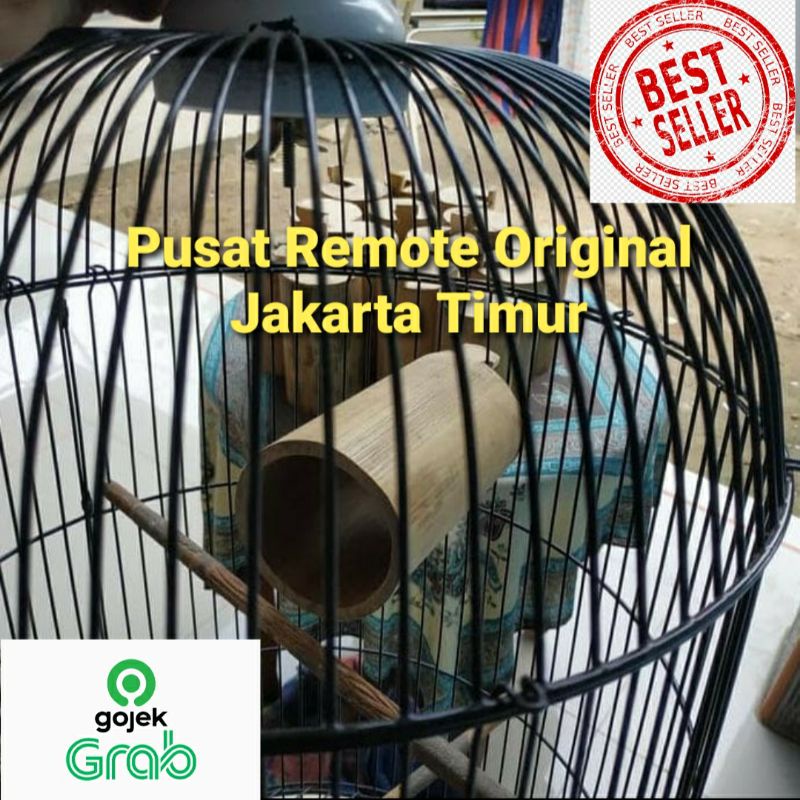 GLODOK BAMBU SETAN GLODOK LOVEBIRD SARANG TELUR BURUNG