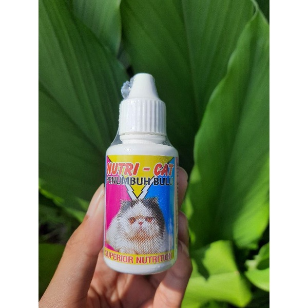 Penumbuh Bulu Kucing | Nutri Cat