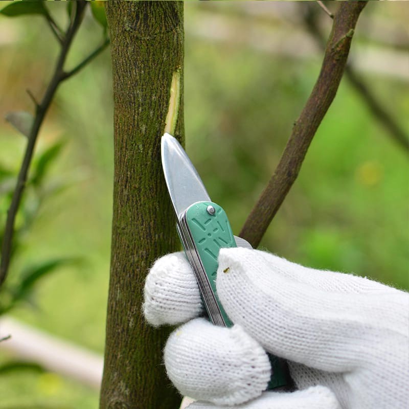 Pisau Lipat Okulasi Grafting 3 In 1 Super Kusus Batang FEFARM