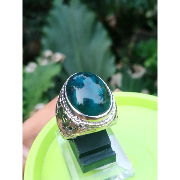 bacan pesanan jambi