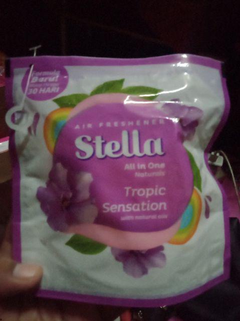 Stela Air Fresh Hener 42 Gr
