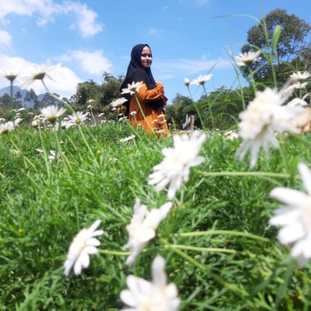 endahhermawati