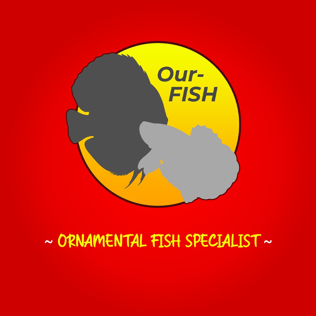 OURFISH - Fullcolor Obat Mutasi Ikan Cupang Multicolor Mempercepat Full Block Meningkatkan Pigmentasi