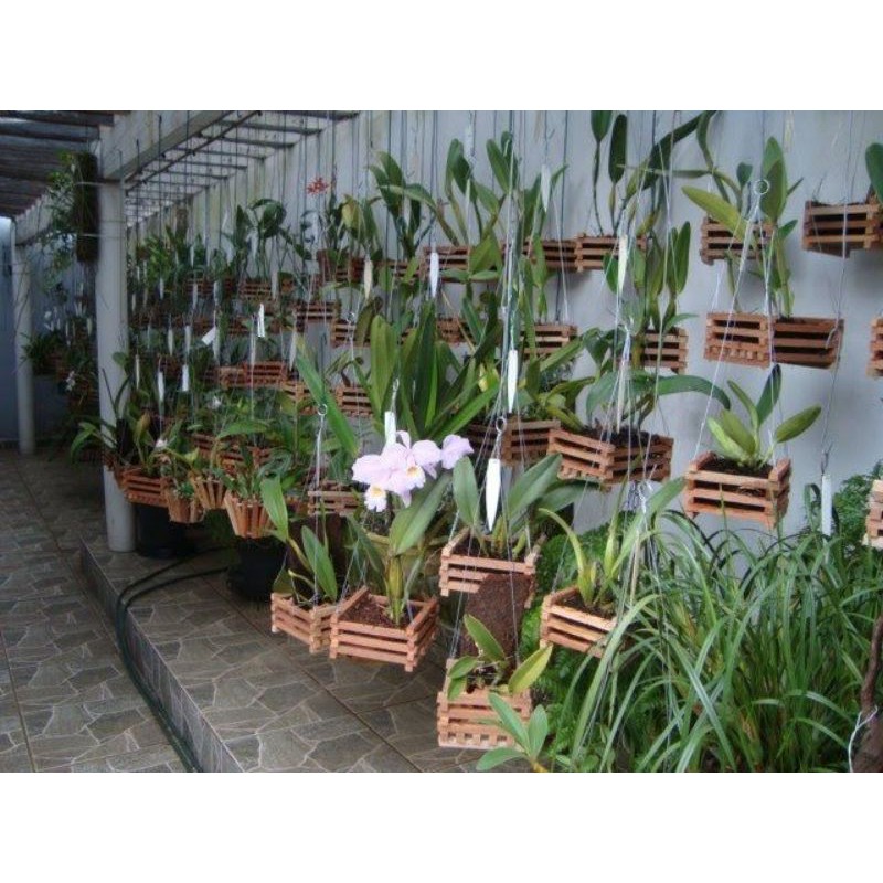POT ANGGREK KAYU / POT KAYU / POT KOTAK