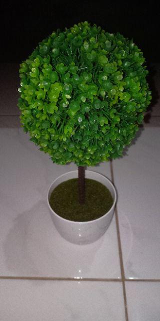 Jh Bonsai Plastik