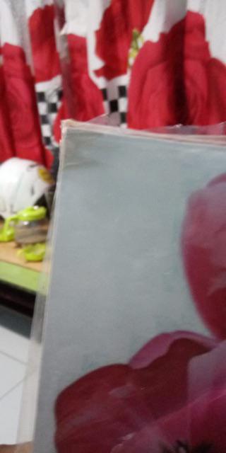 Hiasan Dinding Poster Kayu Al-240