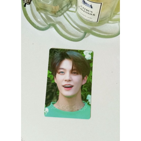 APM JENO PC