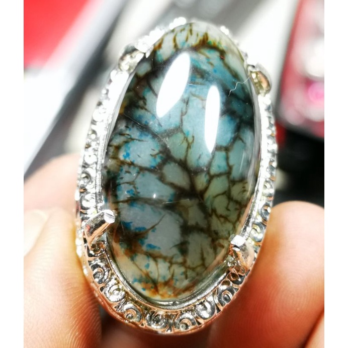 Batu akik asli pandan sisik naga jumbo