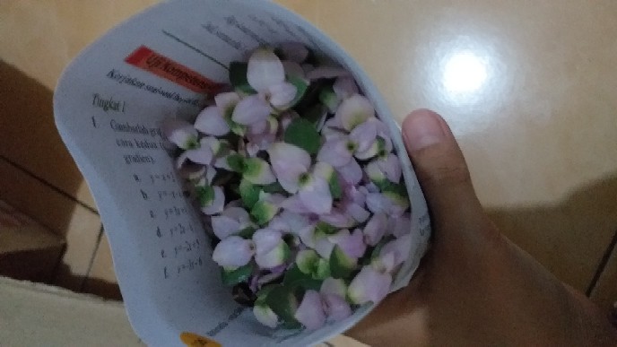 Tanaman Hias  Gantung Kribo