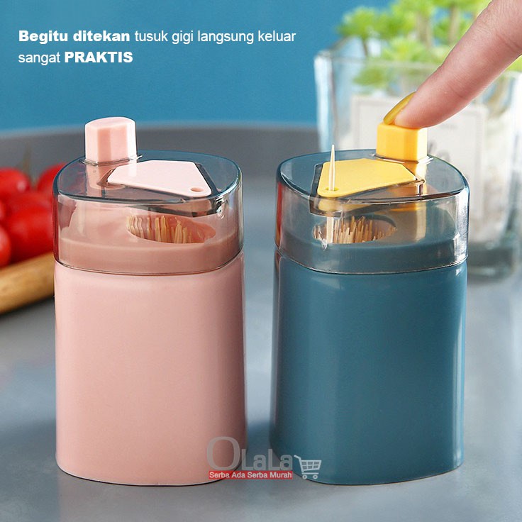 KOTAK PENYIMPANAN TUSUKAN GIGI OLL-0354