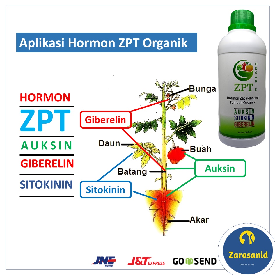 Hormon ZPT Organik Zat Pengatur Tumbuh Organik Lengkap Auksin Giberelin Sitokinin  500 ml