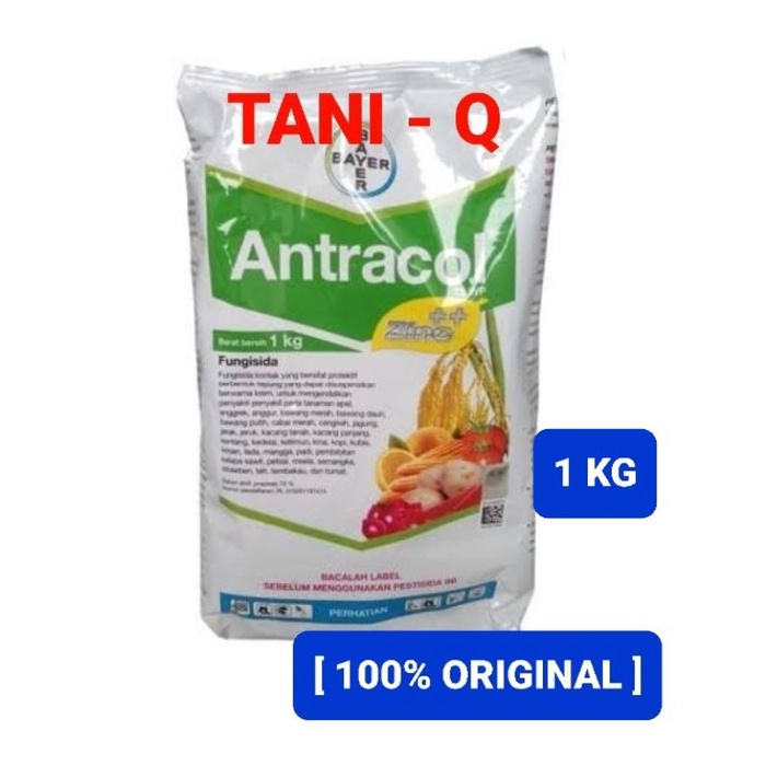 ANTRACOL  1KG