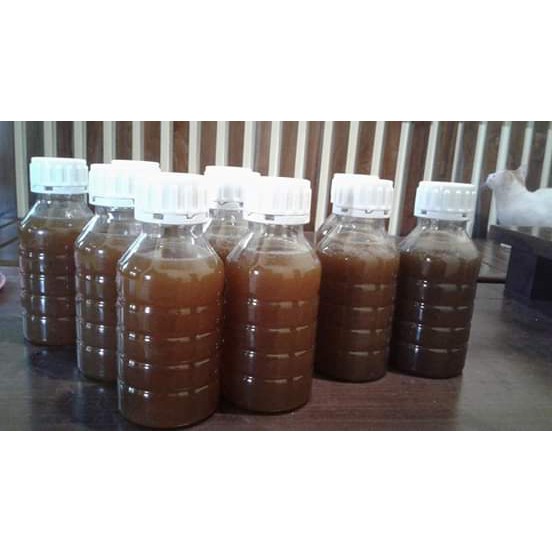 madu klanceng asli murni 100% 500mili