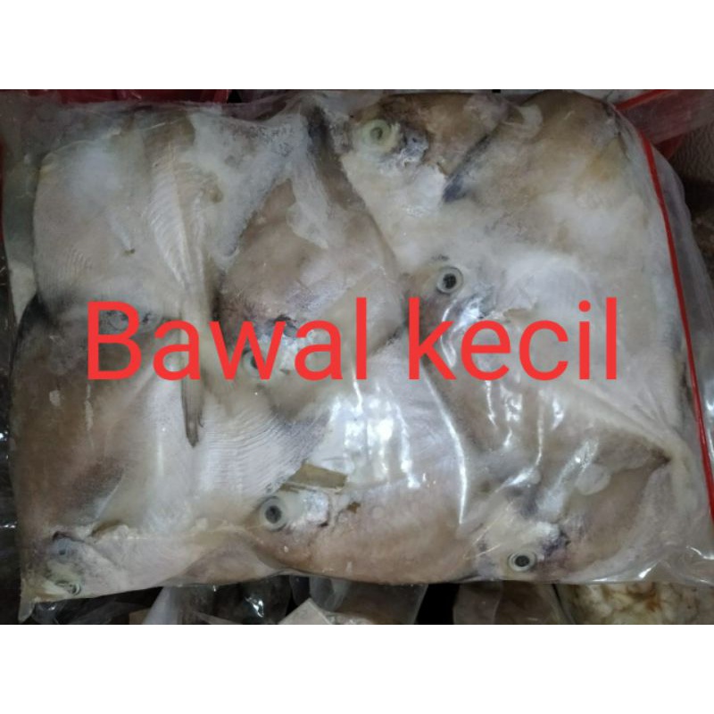 

Ikan Bawal Kecil / Bawal Putih 1kg