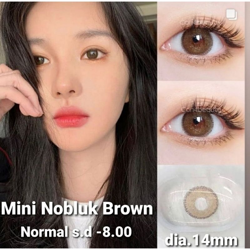 SOFTLENS DREAMCOLOR MINI NOBLUK BROWN dia.14mm Normal Minus s.d -8.00