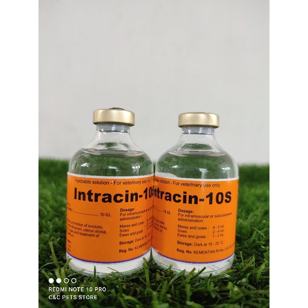 Intracin 10S Injeksi 50 ml (Oxytocin)