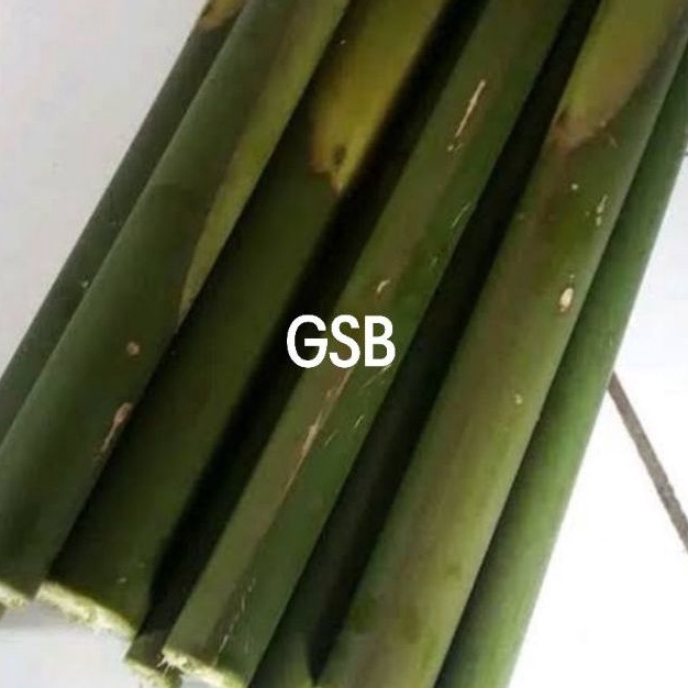 

Batang honje batang kecombrang segar 1 kg fresh asli