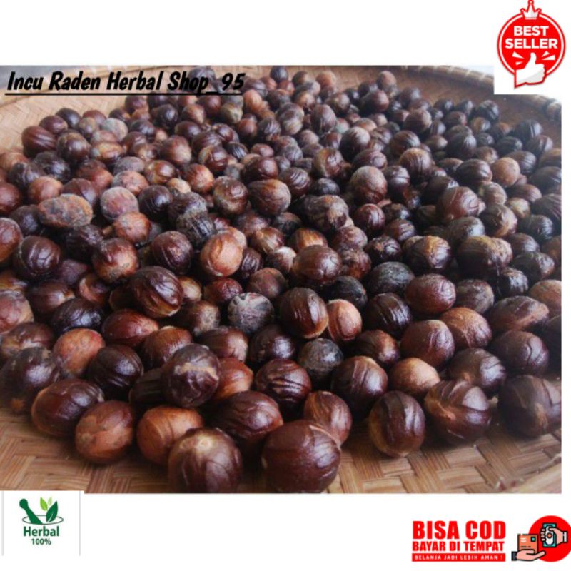 

BUAH PALA SEGAR SUPER MURAH 100GRAM