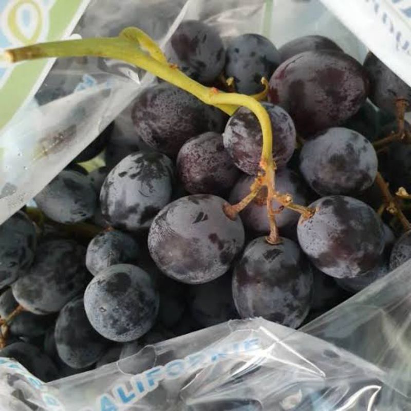 

BSM | TERMURAH Anggur Hitam Segar / Black Grapes 500gr - 1kg | Sayur online