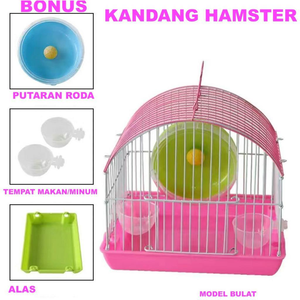 Rumah Kandang Hamster Marmut Tikus Burung Landak Mini 3warna Bonus kincir dan tempat makan Hamster