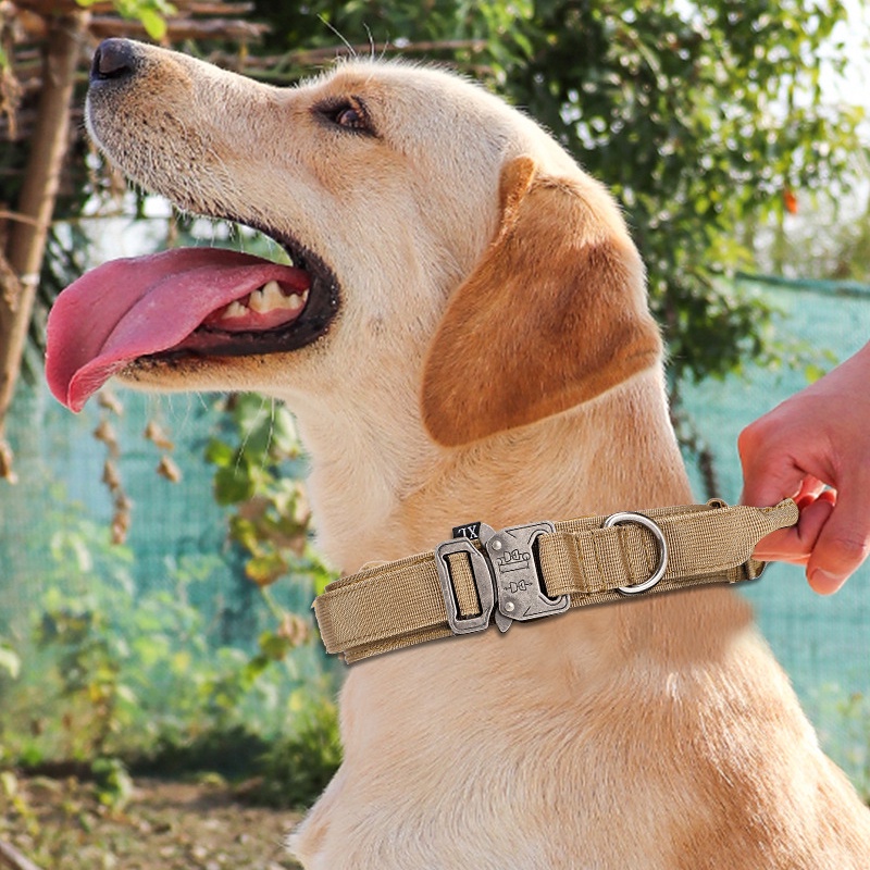 Set Tali Kerah Taktis Dapat Disesuaikan Tahan Lama Gaya Militer Jerman Untuk Pelatihan Anjing Peliharaan