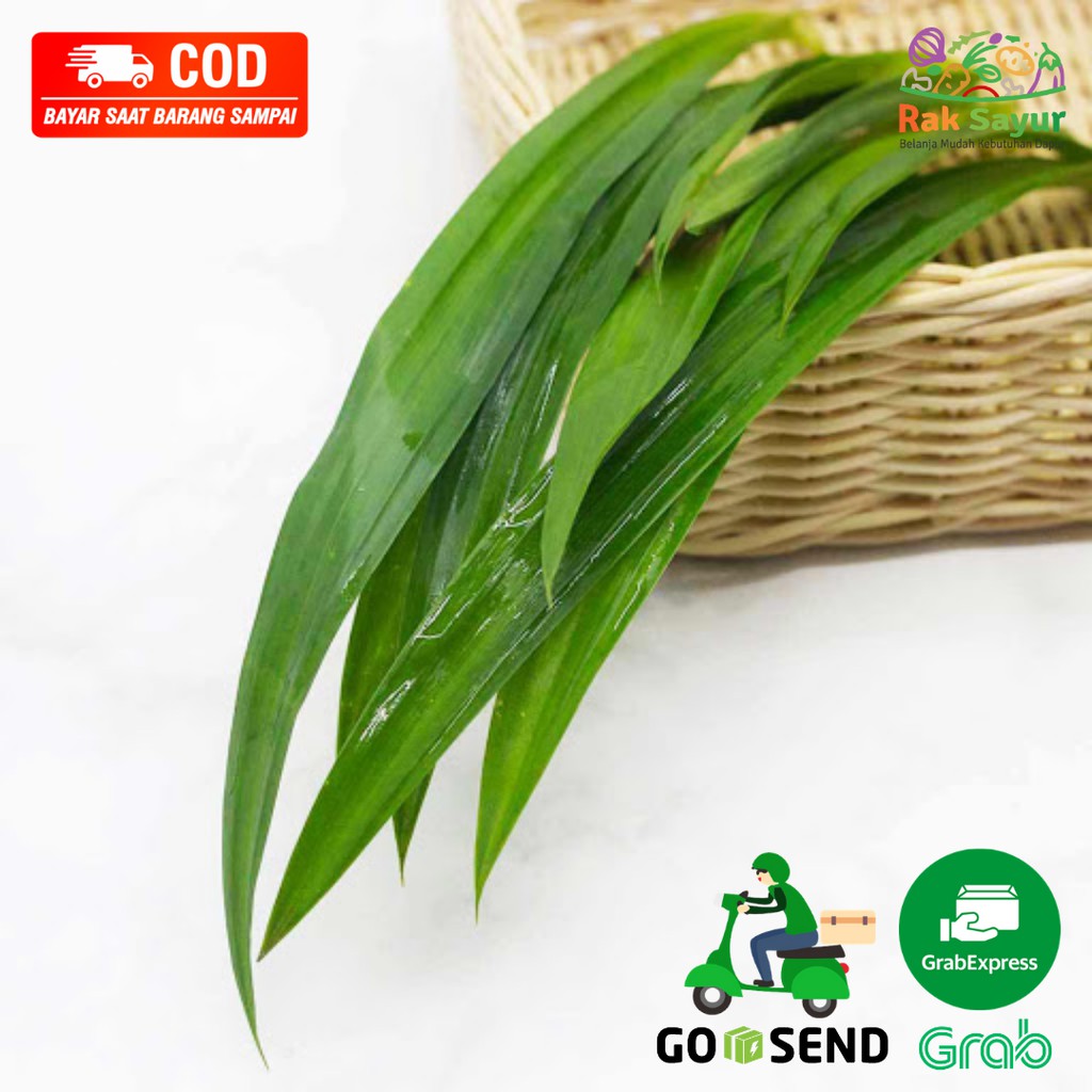 

Daun Pandan Saceng Segar 1 Ikat Bahan Kue Bumbu Dapur Sayur Fresh Rak Sayur Padang