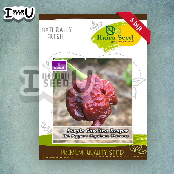 Haira Seed BIbit-BIji Cabe Super Pedas Purple Carolina Reaper