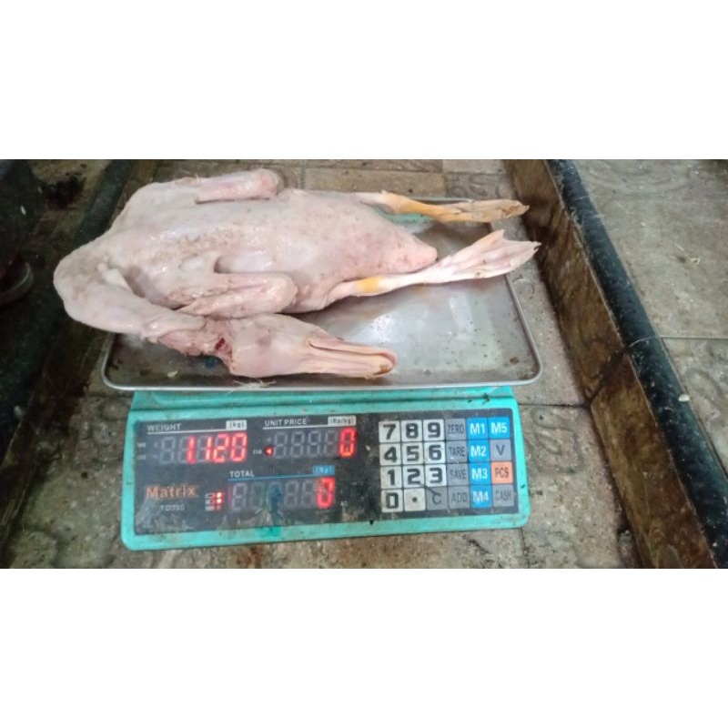 

daging bebek peking