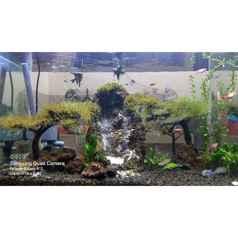 aquascape aluarium theme waterfall
