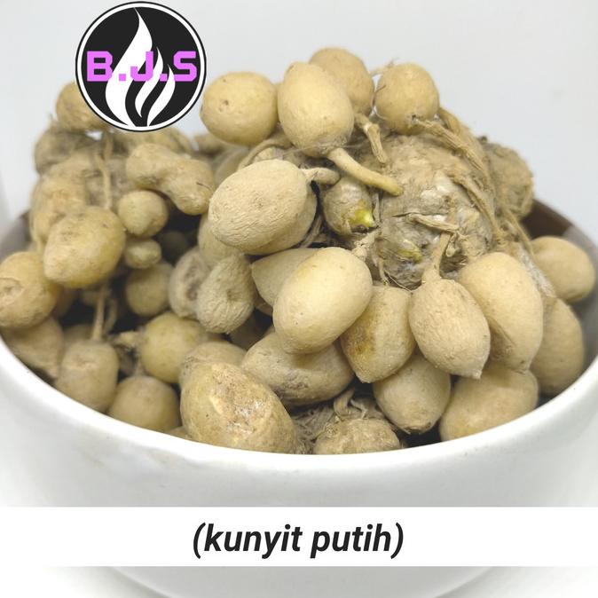 

TERLARIS KUNYIT PUTIH 250GR PENGIRIMAN CEPAT