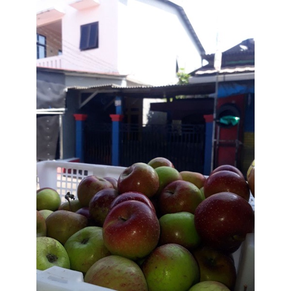 Apel | Apel malang 1kg | Buah segar | Terlaris