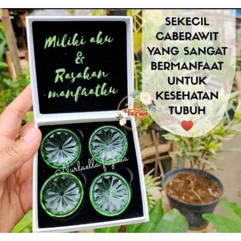 BioglassMini Original MCI