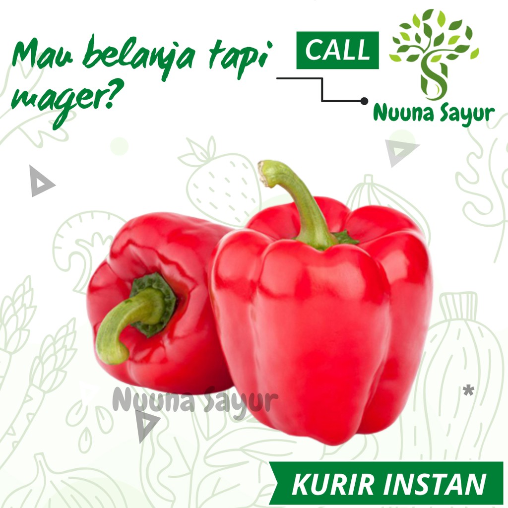 

Paprika Merah 1 Buah 200 Gram