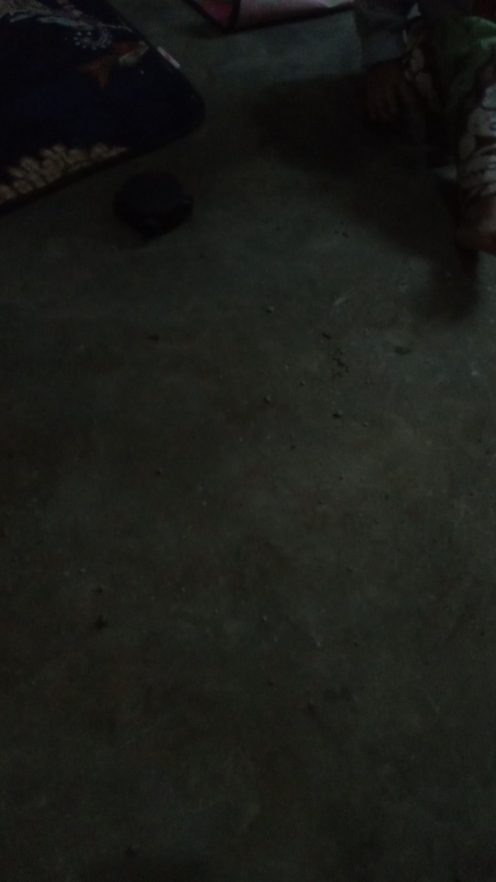 Spon Cuci Piring Spon Mandi Spon Warna