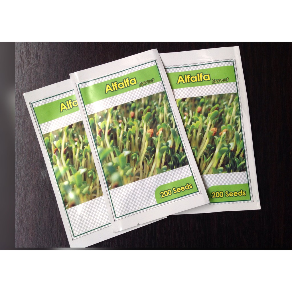 Benih Microgreen Alfalfa Sprout Pack 200 Biji
