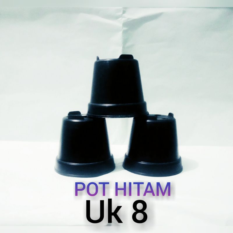 pot hitam 8 cm pot plastik pot kaktus