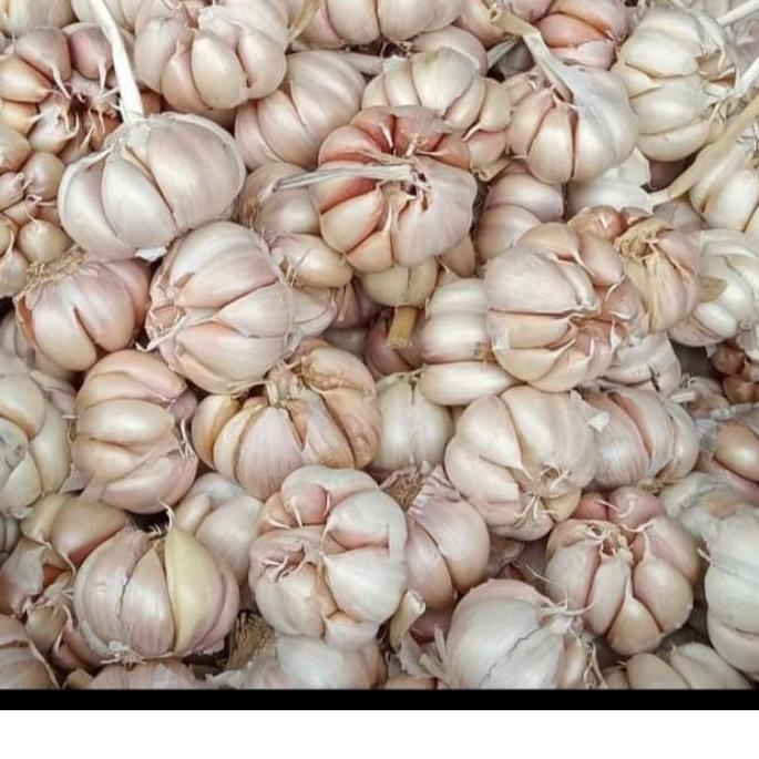 

Terlaris Bawang putih impor murah,kering & 1000grm/ 1kg