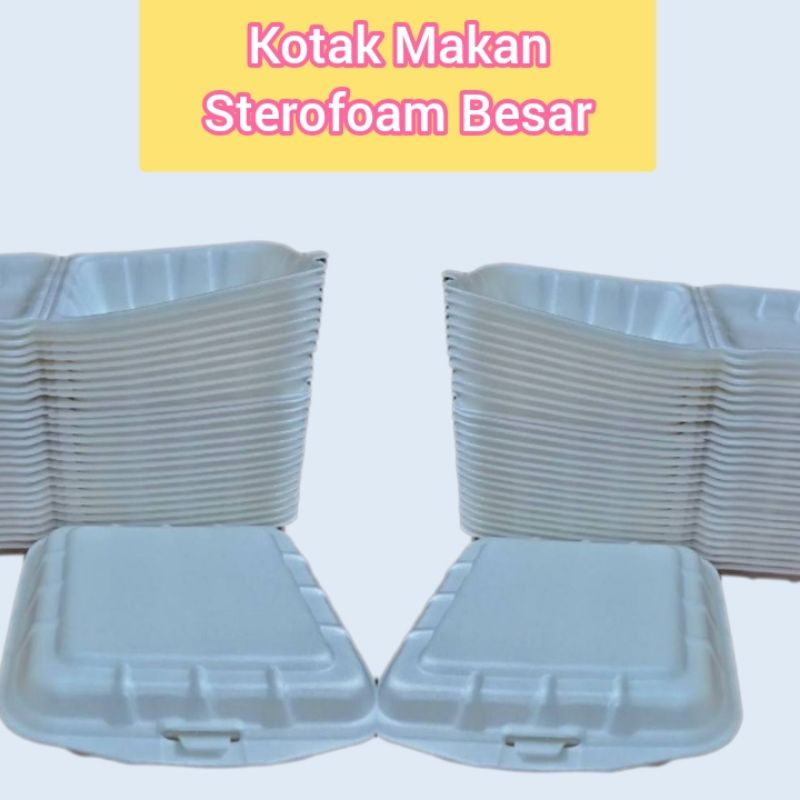 Lunch Box, Sterofoam kotak ayam, kotak nasi ukuran besar dan kecil (1 pcs)