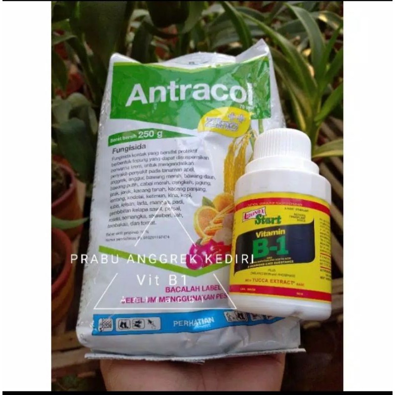 Paket antracol dan B1 start Liquinox