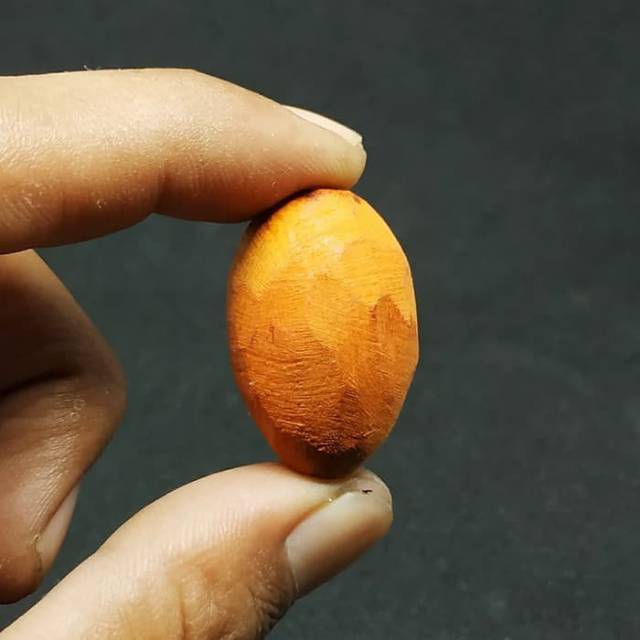 

Kayu Secang Merah