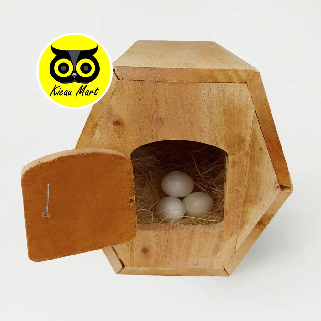 GLODOK LOVEBIRD PARKIT SEGI 6 HAXSAGON KAYU SARANG TELUR BURUNG HAMSTER SUGAR GLIDER GELODOK SUSUH SARANG TERNAK BREEDING BURUNG KENARI FALK NURI GLSGN-3