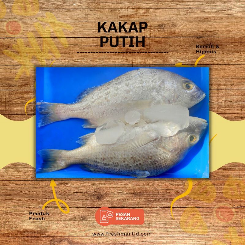 

Kakap Putih Segar 1kg