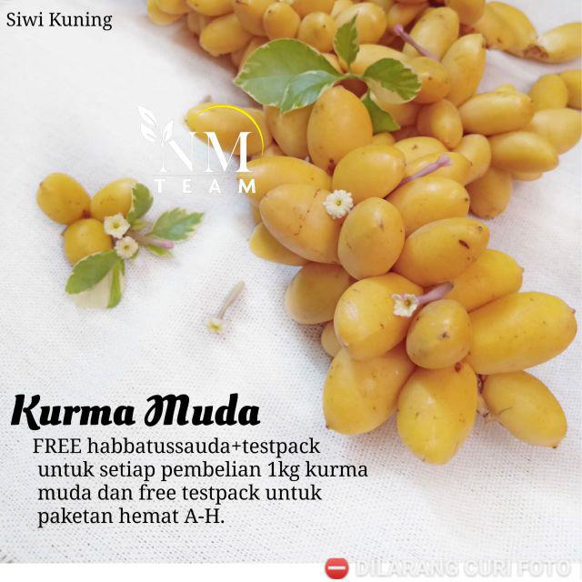 Kurma Muda Promil Program Hamil Siwi Kuning Indonesia