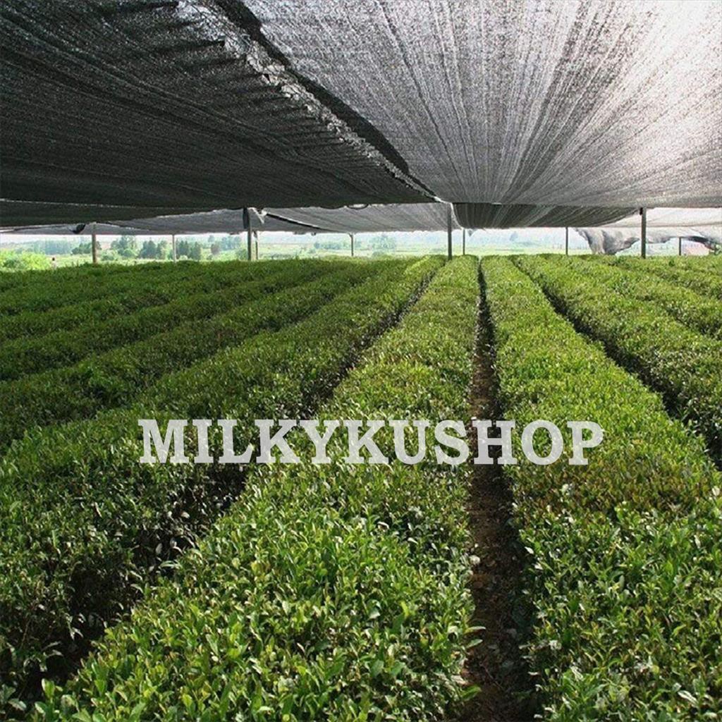 PARANET 75% LEBAR  3 METER JUAL PER 1 METER SHADING NET JARING ATAP