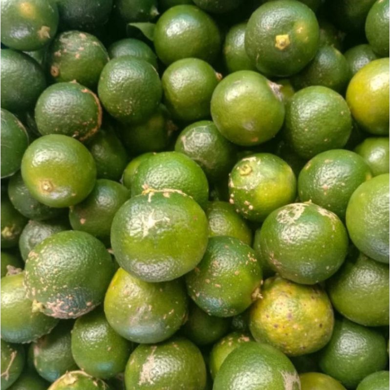 

Jeruk Kasturi/Lemon Cui/sonkit