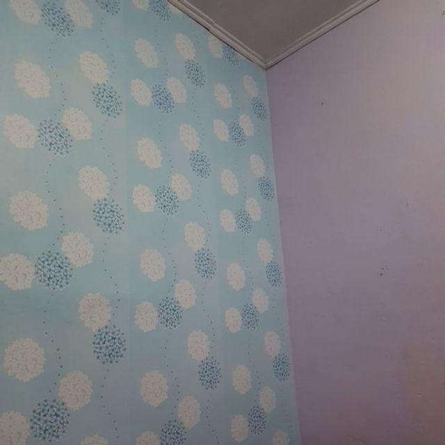 Wallpaper Dinding Rumah Kamar Ruang Tamu Bunga Biru Pink Murah