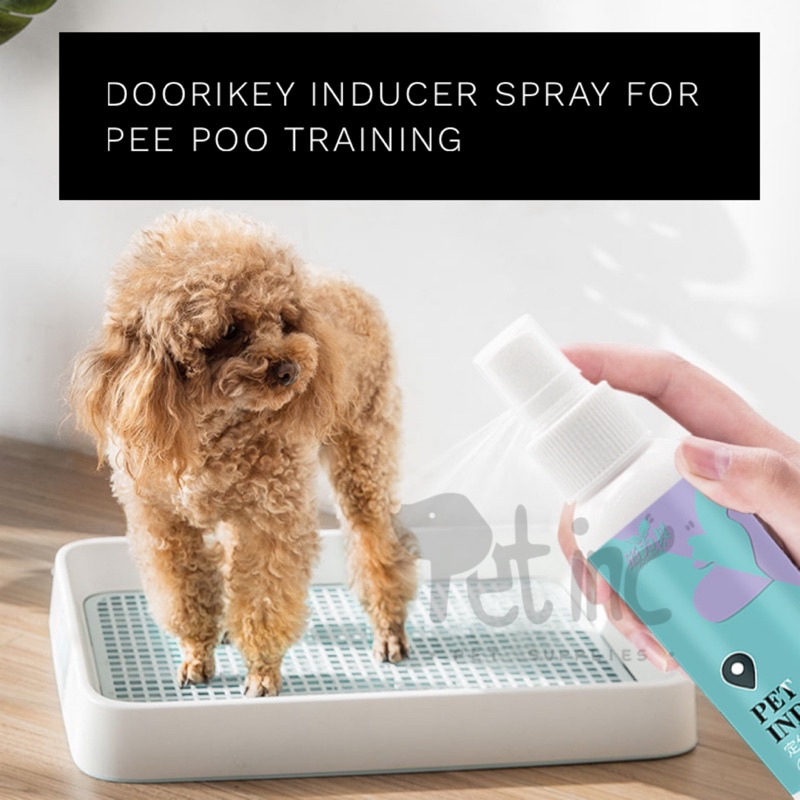 Doorikey inducer spray for pee poo training