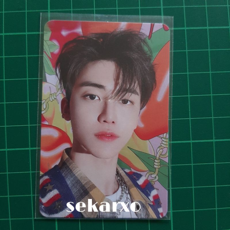 pc photocard jaemin nct dream benefit sgs hot sauce pob bene sm global shop