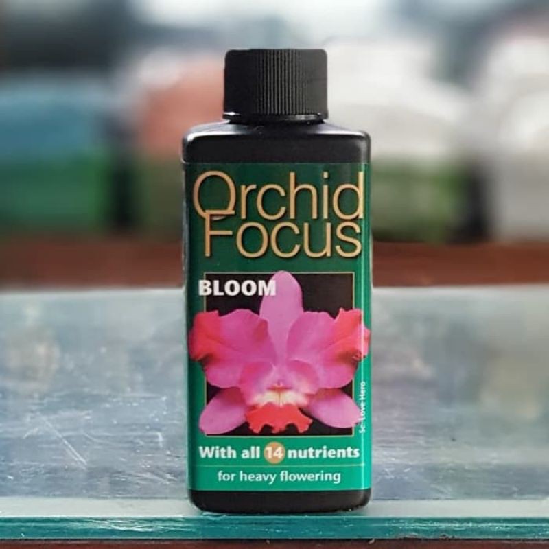 pupuk anggrek / orchid focus 100ml