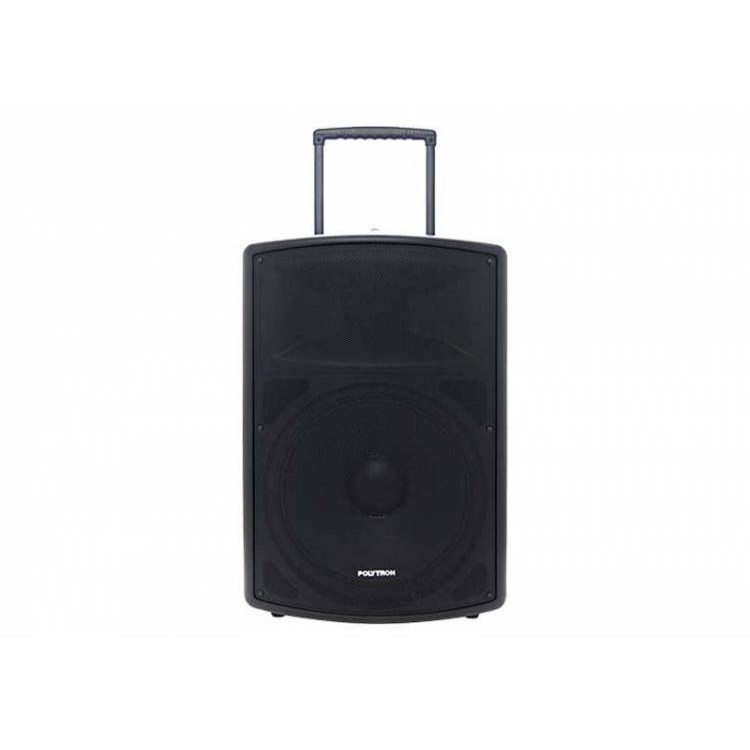 Active Speaker Polytron PAS PRO15F2